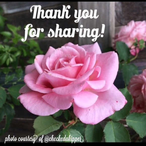 Thank you, thank you! 🥰🥰 For all the shares! - Picture 3 of 7